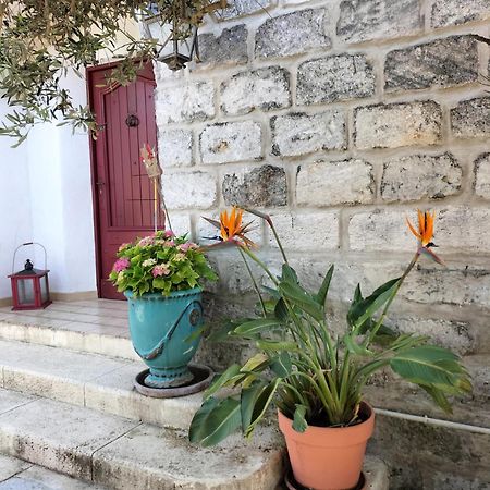 Charmant Appart Avec Jardin Aigues-Mortes Exteriör bild