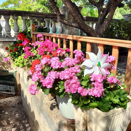 Charmant Appart Avec Jardin Aigues-Mortes Exteriör bild