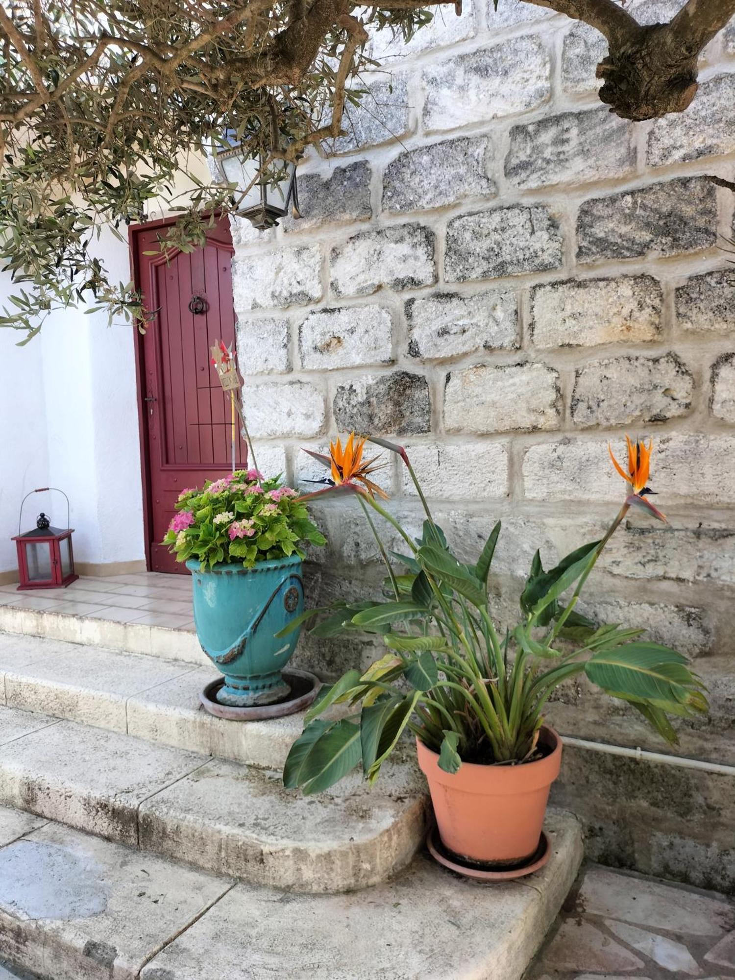 Charmant Appart Avec Jardin Aigues-Mortes Exteriör bild